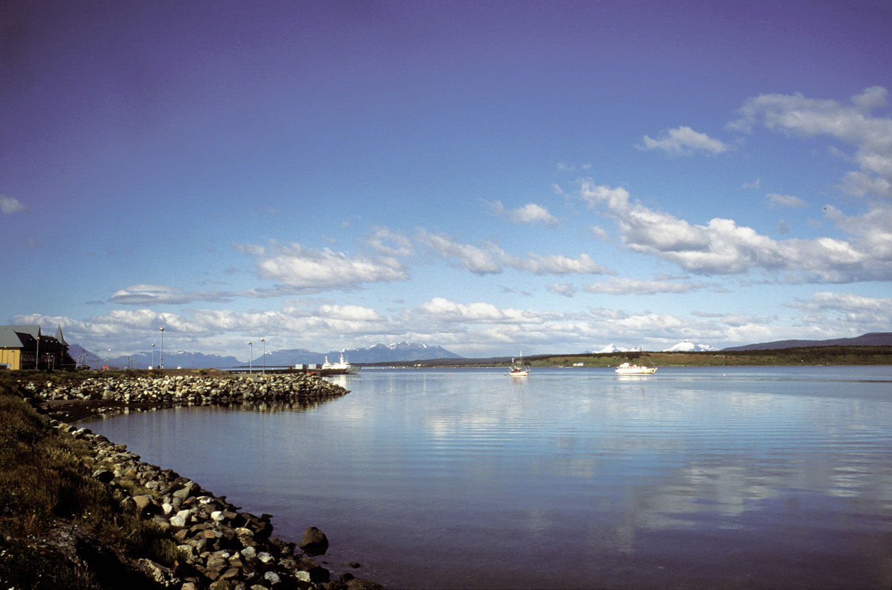 pat_171 pto natales port.jpg - Chili, Côte sud ouest, décembre 2002 : Puerto Natales la baie protégée de la ultima esperanza, qui a fait de Puerto Natales un port recherché lors des tempêtes. Des oiseaux ( mouettes ?) ont élu domicile sur le ponton. Elite chrome 100 extracolor